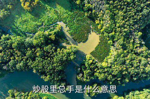 股票中的總手是什么意思，股票中的總手什么意思
