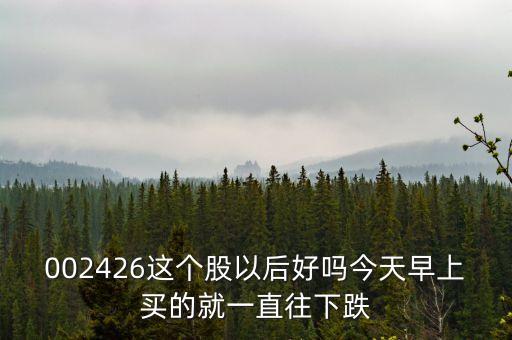 002426這個股以后好嗎今天早上買的就一直往下跌