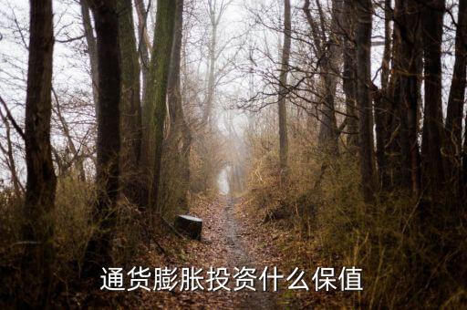 通貨膨脹投資什么保值