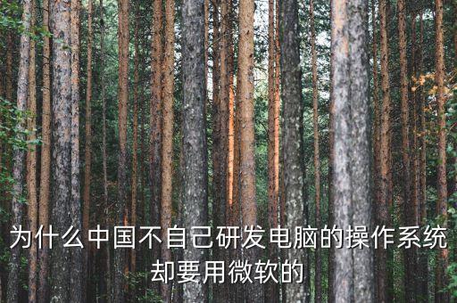 為什么中國不自己研發(fā)電腦的操作系統(tǒng)卻要用微軟的