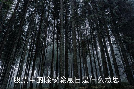 股票中的除權(quán)除息日是什么意思