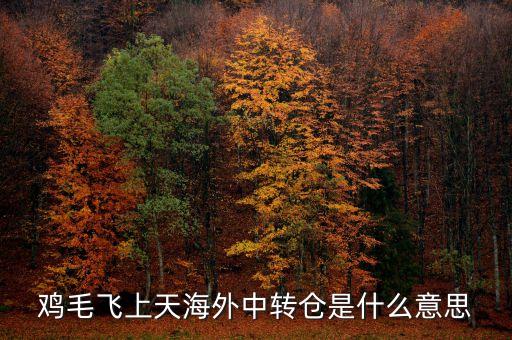 雞毛飛上天海外中轉(zhuǎn)倉是什么意思