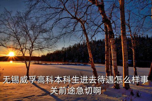 無錫威孚高科本科生進去待遇怎么樣事關(guān)前途急切啊