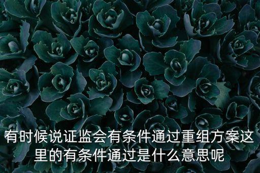 重組項(xiàng)目過會是什么意思，資產(chǎn)重組獲股東大會高票通過什么意思