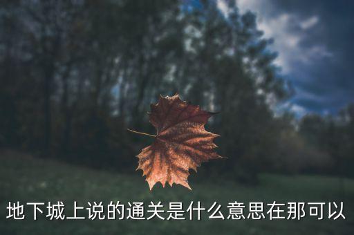 大通關(guān)是什么意思，地下城上說的通關(guān)是什么意思在那可以