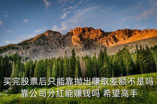 買完股票后只能靠拋出賺取差額不是嗎 靠公司分紅能賺錢嗎 希望高手