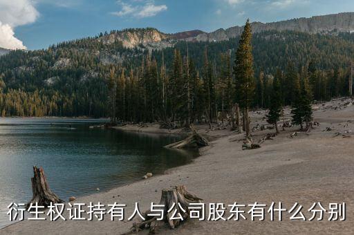 衍生權(quán)證是什么，衍生權(quán)證持有人與公司股東有什么分別