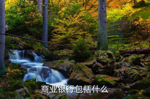 雨果獎是什么，商業(yè)銀行包括什么