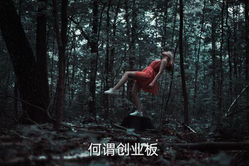 何謂創(chuàng)業(yè)板