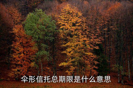 傘形信托的杠桿比例是什么意思，傘形信托總期限是什么意思