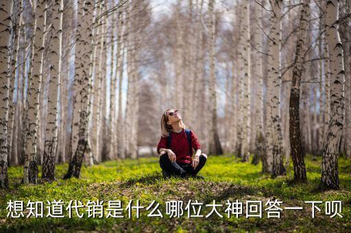 想知道代銷是什么哪位大神回答一下唄
