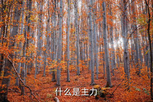 什么叫主力，房產(chǎn)經(jīng)常說的主力面積是什么意思