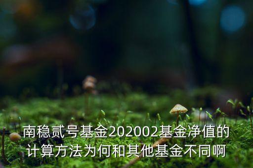 南穩(wěn)二號為什么要分紅，南穩(wěn)貳號基金202002基金凈值的計算方法為何和其他基金不同啊