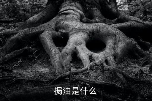 粵油是什么，輕質油在炒原油里的什么油比如什么大連油粵油