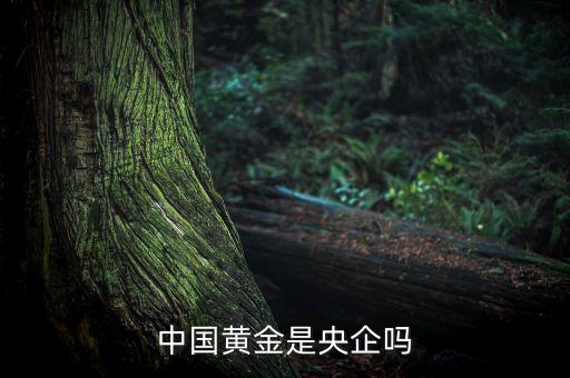 中國黃金為什么是央企品牌，中國黃金在各城市的店鋪是中國黃金直營的還是加盟的如果是直營