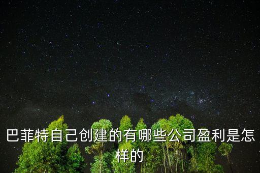 巴菲特是想收購中國的什么公司，巴菲特自己創(chuàng)建的有哪些公司盈利是怎樣的