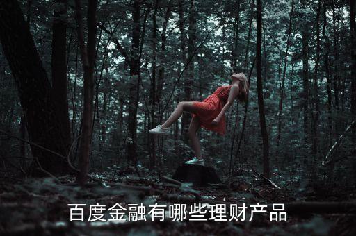 百度有什么理財產(chǎn)品，百度金融有哪些理財產(chǎn)品