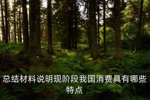 從材料的數(shù)據(jù)中反映了當(dāng)前消費(fèi)的什么特點(diǎn)，總結(jié)材料說(shuō)明現(xiàn)階段我國(guó)消費(fèi)具有哪些特點(diǎn)