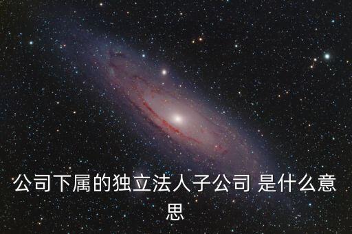 下屬子公司是什么意思，母公司集團公司是有限責(zé)任公司下屬子公司有的是有限責(zé)任公