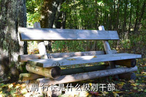 副 行長是什么級別干部