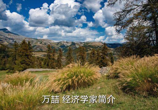 萬喆 經(jīng)濟(jì)學(xué)家簡(jiǎn)介