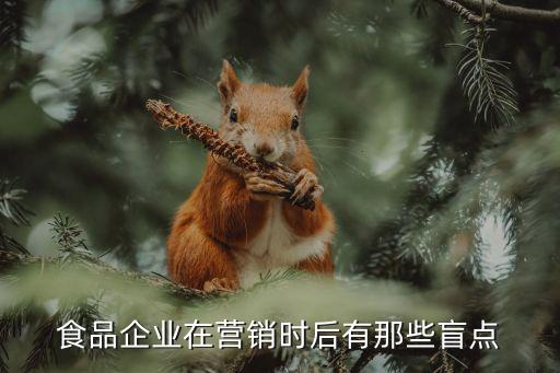 食品企業(yè)在營(yíng)銷(xiāo)時(shí)后有那些盲點(diǎn)