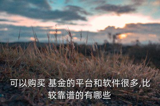 可以購買 基金的平臺和軟件很多,比較靠譜的有哪些