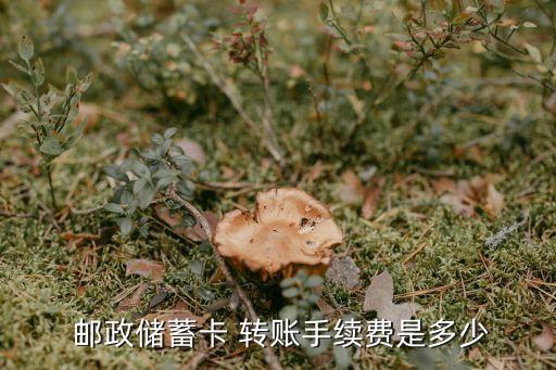  郵政儲蓄卡 轉賬手續(xù)費是多少