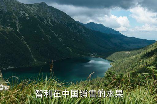  智利在中國(guó)銷售的水果