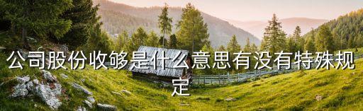 公司股份收夠是什么意思有沒(méi)有特殊規(guī)定