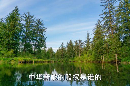 中華新能的股權(quán)是誰的