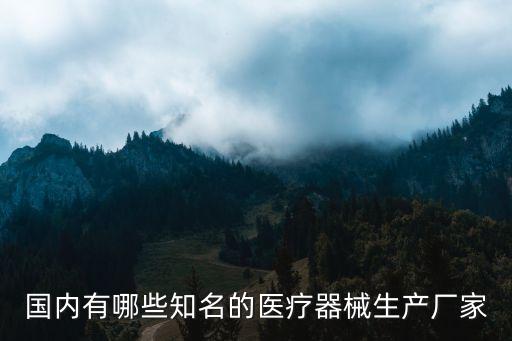 國內有哪些知名的醫(yī)療器械生產(chǎn)廠家