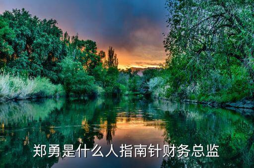 德勤中國高級(jí)顧問,德勤高級(jí)顧問一年有40萬嗎