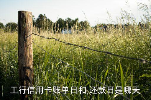 工行信用卡賬單日和 還款日是哪天