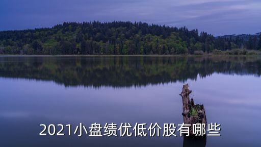 2021小盤(pán)績(jī)優(yōu)低價(jià)股有哪些