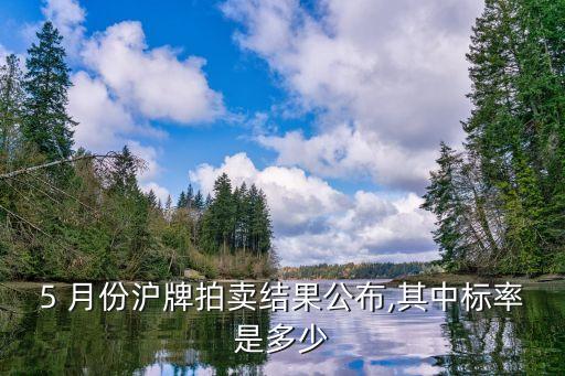 5 月份滬牌拍賣結(jié)果公布,其中標率是多少