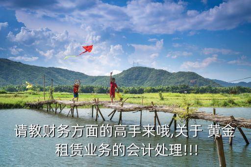 請(qǐng)教財(cái)務(wù)方面的高手來(lái)哦,關(guān)于 黃金 租賃業(yè)務(wù)的會(huì)計(jì)處理!!!