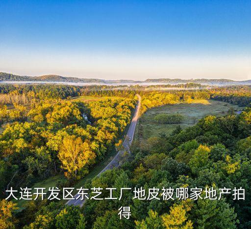 大連開(kāi)發(fā)區(qū)東芝工廠地皮被哪家地產(chǎn)拍得