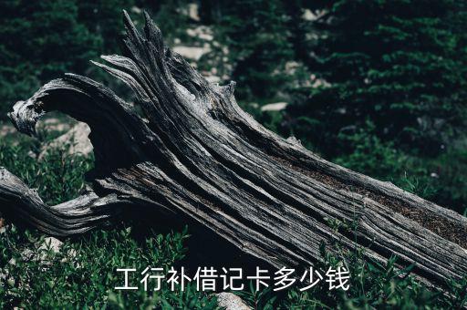 工行補(bǔ)借記卡多少錢