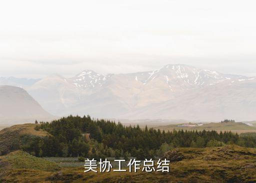 美協(xié)工作總結(jié)