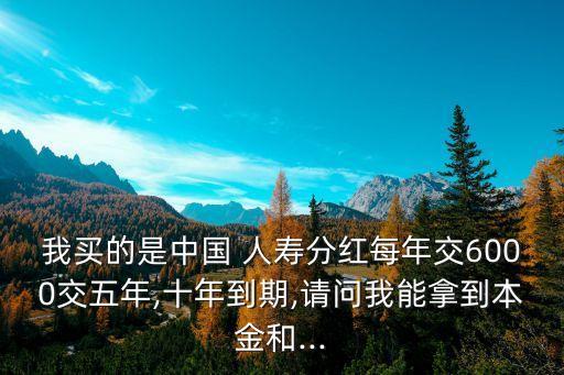 中國(guó)人壽投資收益