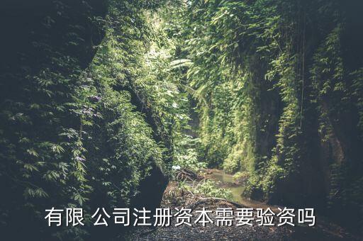 有限 公司注冊資本需要驗資嗎
