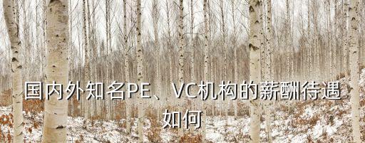 國內外知名PE、VC機構的薪酬待遇如何