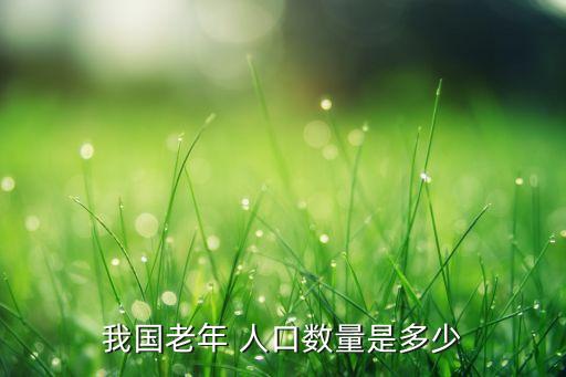 我國(guó)老年 人口數(shù)量是多少