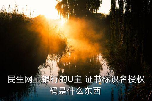 導(dǎo)出民生銀行u寶證書不見(jiàn)了