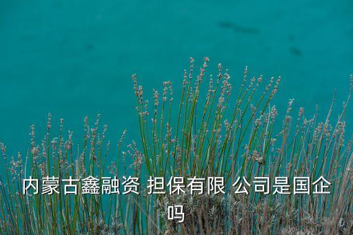 內蒙古鑫融資 擔保有限 公司是國企嗎
