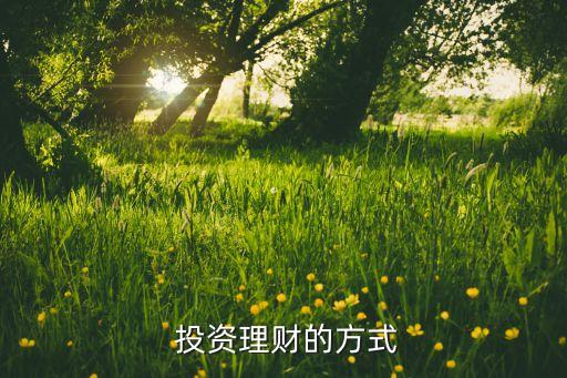  投資理財(cái)?shù)姆绞? class=