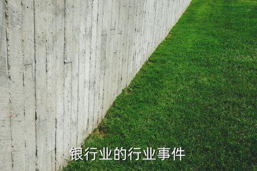 2010年中國對(duì)外直接投資公報(bào)