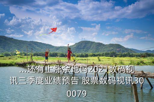 ...還有上漲余地嗎2021數(shù)碼視訊三季度業(yè)績預告 股票數(shù)碼視訊300079