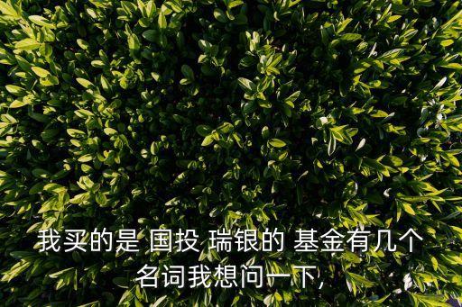 我買的是 國(guó)投 瑞銀的 基金有幾個(gè)名詞我想問(wèn)一下,